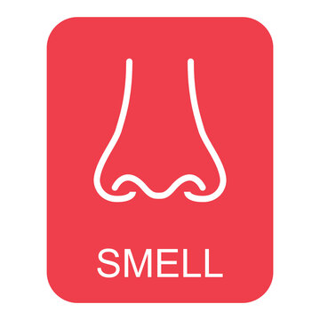 Human anatomy flat nose icon, smell health organ vector illustration, face part sign