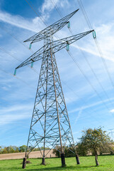 Pylones haute tension RTE traversant une prairie avec des vaches