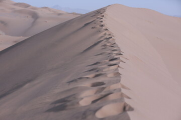 sand dunes in the desert