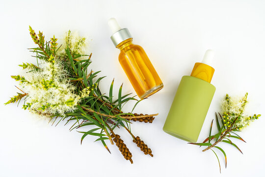 Two cosmetic bottles with oil and fresh tea tree branch on a white background. Tea tree oil (Melaleuca alternifolia)
