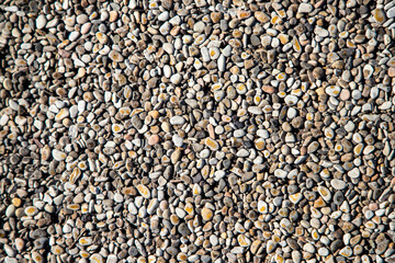 Background from small sea pebbles, texture.