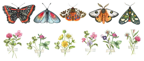 A large watercolor set of wild flowers and berries collected in bouquets. Clover, forget-me-not and other wild flowers isolated on white background. As well as bright realistic butterflies. Botanical 