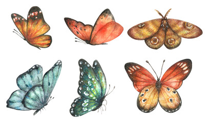 Watercolor set of colorful bright butterflies