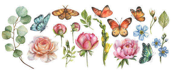 Watercolor botanical set with illustrations of colored butterflies and flowers, peony buds, roses, eucalyptus stem, leaves