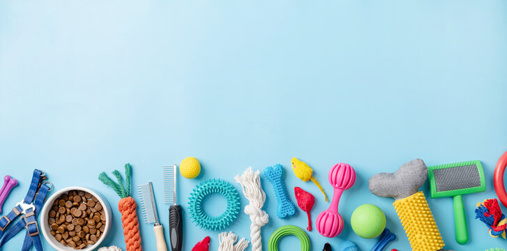 Pet care concept, various pet accessories on blue background, flat lay