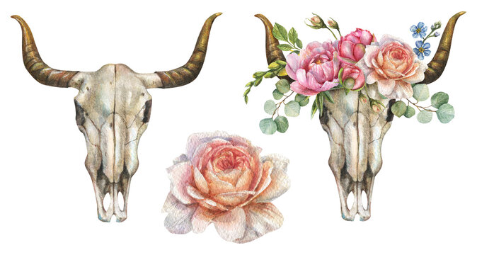 Watercolor botanical set with illustrations of Bull skull with floral wreath and rose flowers
