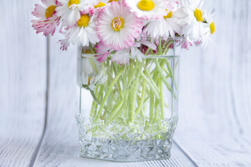 A bouquet of fresh flowers, daisies on green stems stand in a glass with clean water on a gray, wooden background.