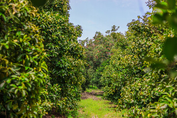 The background of the sea by the evening sea, with natural beauty (sea water, rocks, sky) and fishermen are fishing by the river bank, is a pleasure during travel.