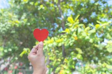 Environmental conservation concept using woman hand carrying heart shape with natural background in sunny day