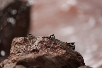close up of a person eating a bar