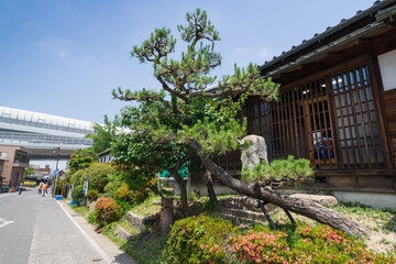 東海道53次2代目松・有松（名古屋市）