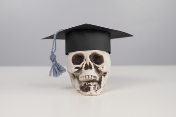 Toy plastic skull with academic cap on a white background. 