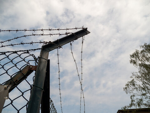 Stretched barbed wire.