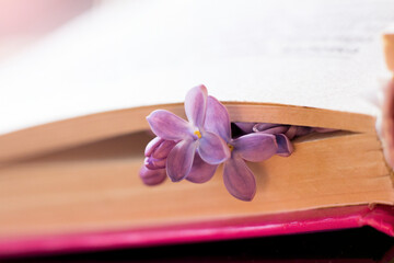 Fototapeta na wymiar Beautiful fragrant lilac, spring flowers and book