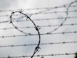 Stretched barbed wire.