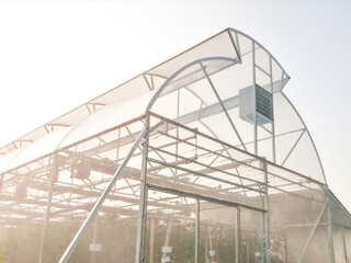 The greenhouse for growing vegetables in sunlight.