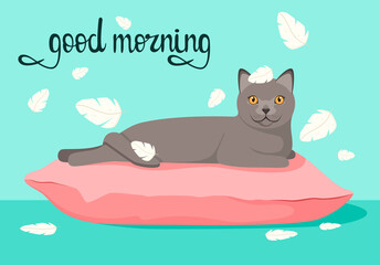 Funny British cat on a pillow with feathers. Nice postcard. Good morning. Cartoon design.
