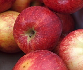 Fototapeta na wymiar Fresh apples from the market 