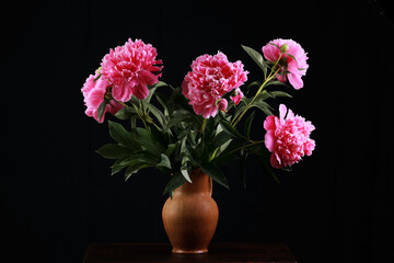 pink peonies in the studio on a black background