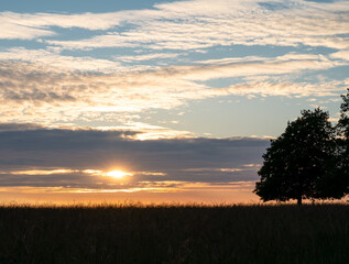 sunset with blue sky scattered cloud and foreground trees
