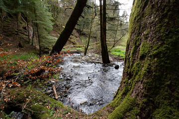 Ruisseau de l'Enfer, l'eau au cœur de l'Auvergne