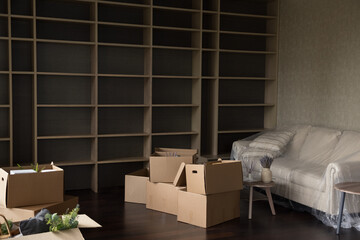 Spacious unfurnished living room with empty wall shelves, couch and heap of belongings packed in cardboard boxes. New home, bank loan, repairs works, transporting delivery services company ad concept