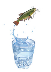 poisson chat , poisson, sauter, évasion, eau, en verre, boire, clapoter, froid, liquide, glace, isolé, blanc, boisson, bouillonner, abattre, bleu, frais, éclaboussure, clair, verser, transparent, , sa