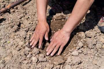 手で穴を掘る