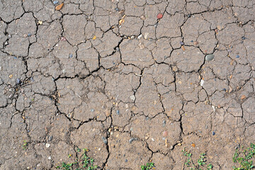 Dry mud cracked ground texture. Drought season background. Dry and cracked land, dry due to lack of rain. Effects of climate change.