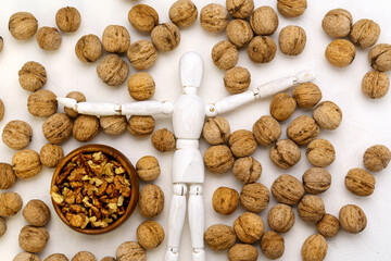 Fototapeta na wymiar Wooden mannequin with walnuts white background. The human brain is shaped like a walnut kernel.