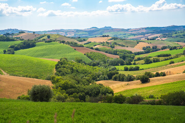 Fototapeta na wymiar Marche Region, Italy. Rural landscape