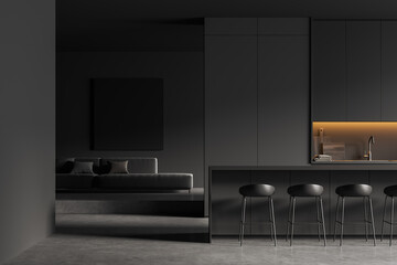Grey kitchen interior with sofa and countertop, lounge zone and eating area