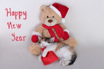 Inscription Happy New Year. Tabby .Kitty animal pet Cat. Christmas presents concept. Kitten with a red bow tie sleeping near a teddy bear in a Santa Cat. Merry Christmas. Happy New Year.