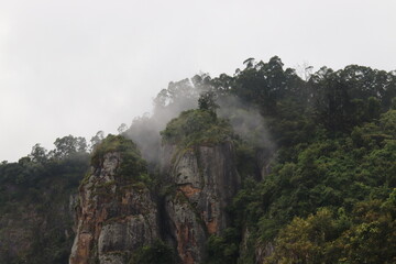 Kodaikanal landscape