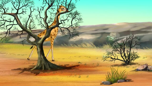 African giraffes in the savanna on a sunny day animation