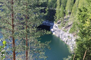 lake and forest