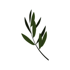 Olive Leaf logo template vector design