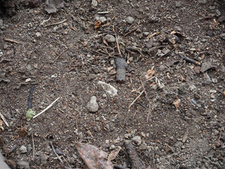 brown earth texture background