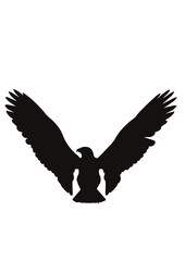 ワシ タカ シルエット eagle silhouette