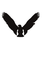 ワシ タカ シルエット eagle silhouette