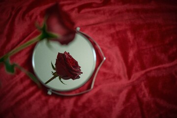 Reflection of a red rose in a round mirror. A symbol of passion and love.