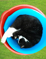 Round forms in courageous colors
