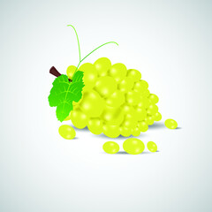 Green grapes with leaves isolated on white  background, Vector illustration.