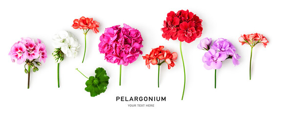 Geranium flowers collection - obrazy, fototapety, plakaty