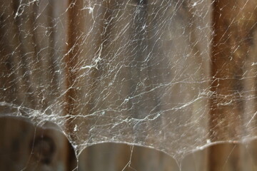 Background of silver grey cobweb in front of wooden panelling
