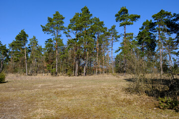 Landschaft im Naturschutzgebiet Reiterswiesener Höhe - Häuserlohwäldchen zwischen Bad Kissingen...
