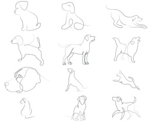 dog hand drawn line art
