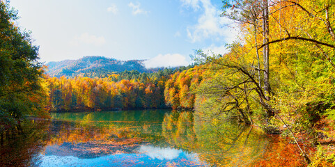 Obraz premium Autumn forest landscape reflection on the water with wooden pier - Autumn landscape in (seven lakes) Yedigoller Park Bolu, Turkey