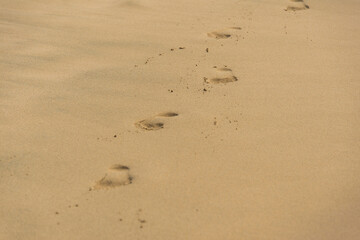 Strand, Sommer, Erholung