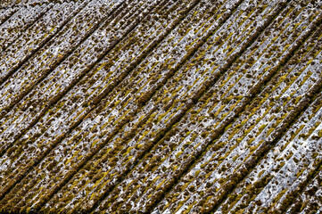Dangerous asbestos roofs are still common in the poverty parties of the Carpathian Mountains in Poland and Ukraine. Asbestic tile on the barn roof, Bieszczady Mountains, Poland.
